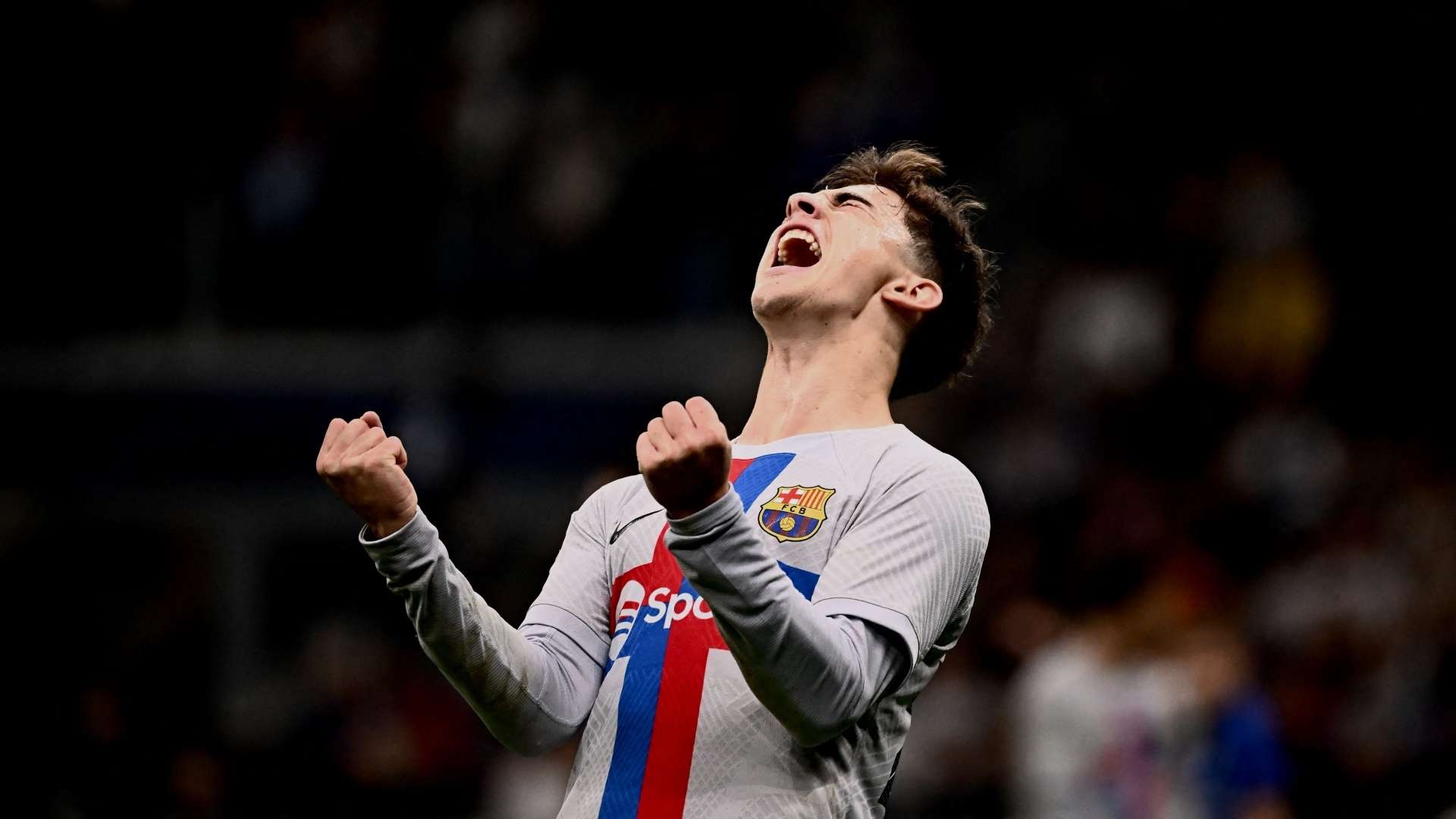 通过对突尼 通过对突尼