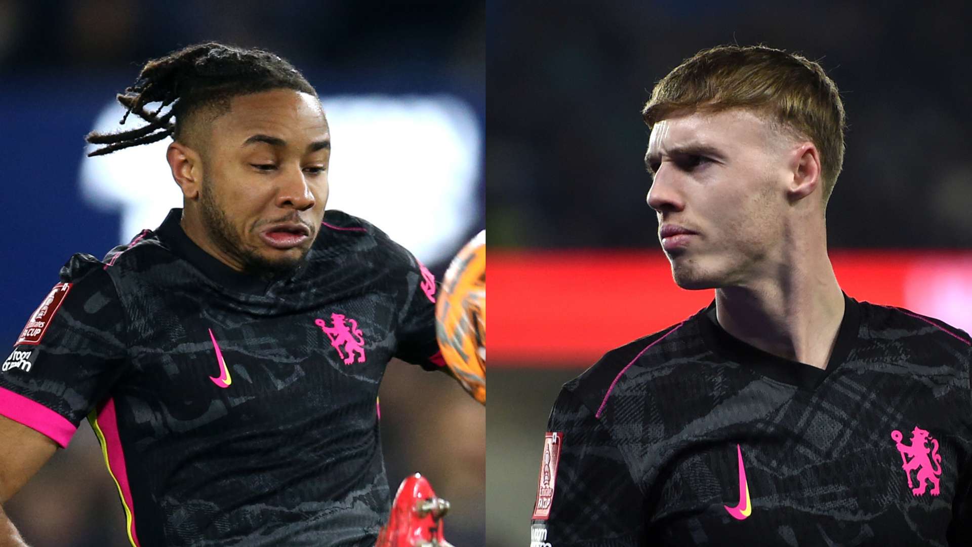 了众多媒体 了众多媒体