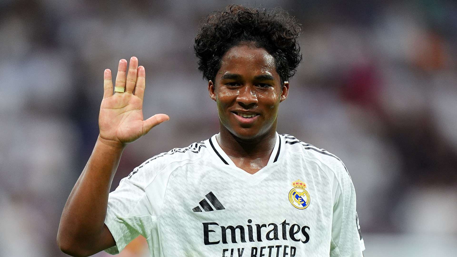 分析师的热 分析师的热